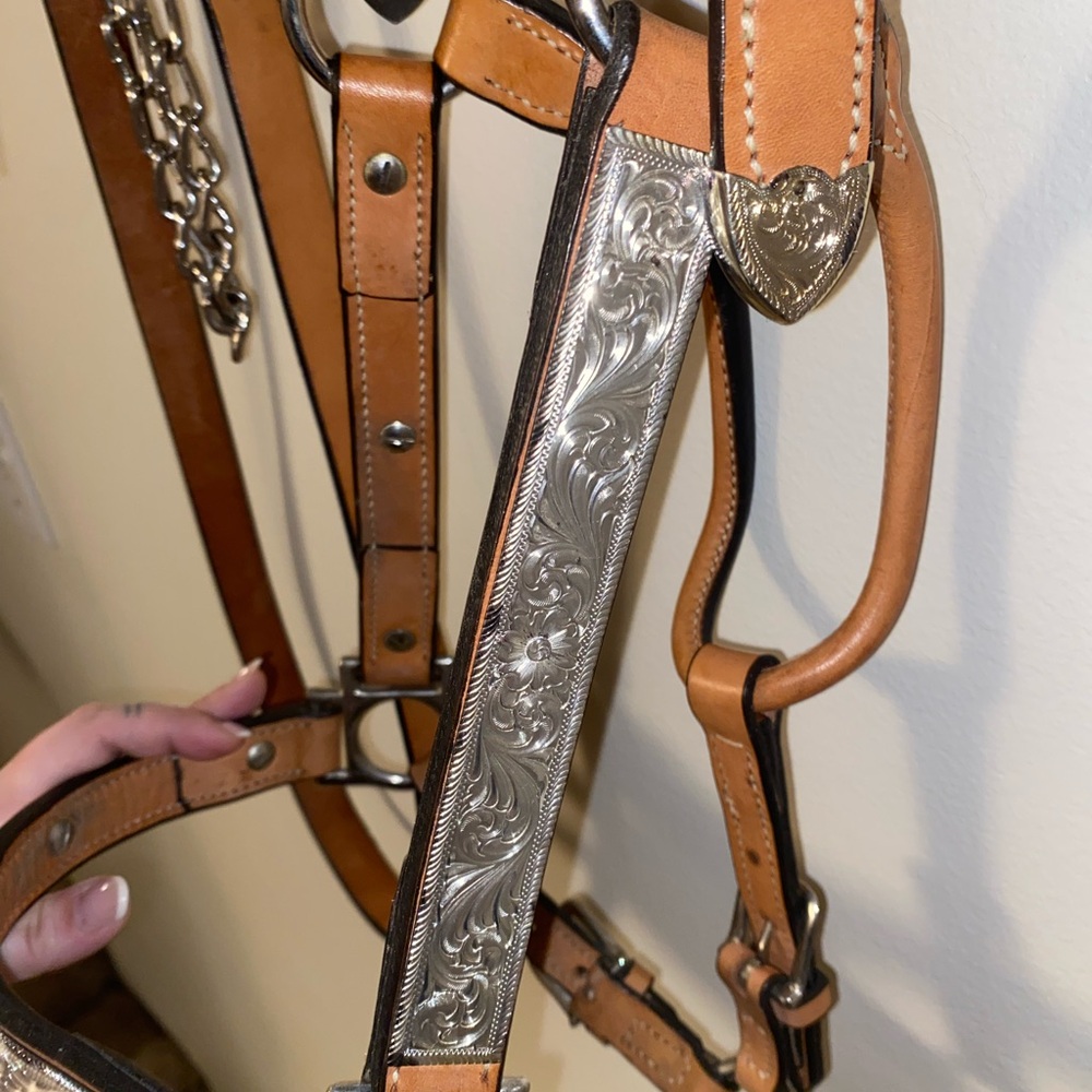 Show Halter